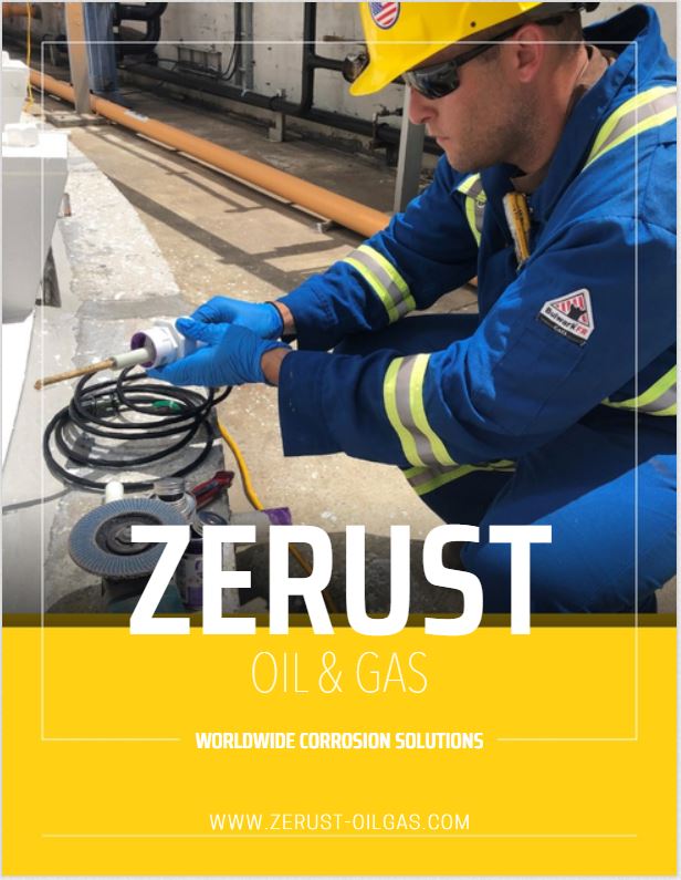 Zerust Integrity Solutions Business View Magazine Editorial 2020